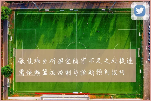 张佳玮分析掘金防守不足之处提速需依赖篮板控制与抢断预判技巧