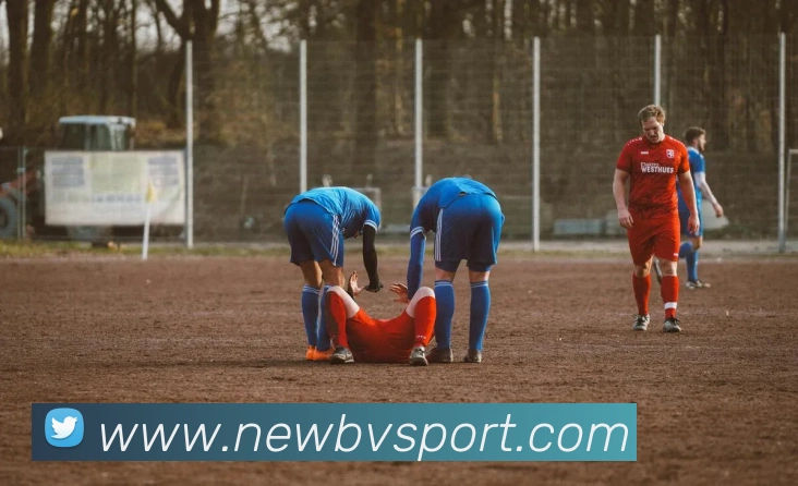 App Interface Preview